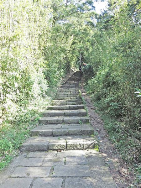 【台北旅遊】觀音山硬漢嶺夜景-淡水河口的美麗夜景