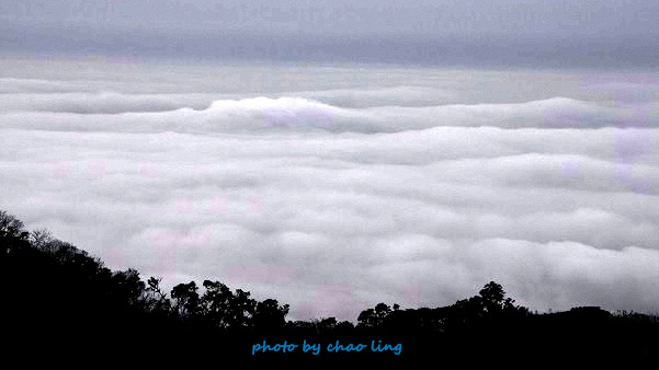 硬漢嶺追櫻-24.JPG - 2016春暖花開