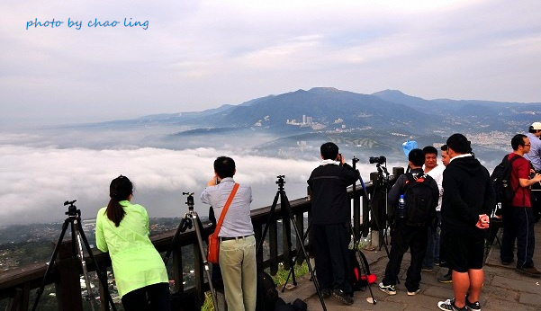 硬漢嶺追櫻-14.JPG - 2016春暖花開