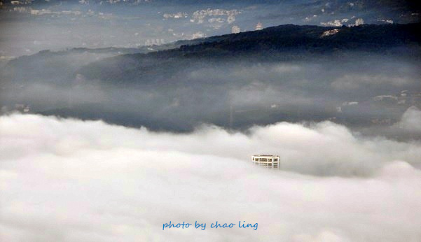 硬漢嶺追櫻-23.JPG - 2016春暖花開