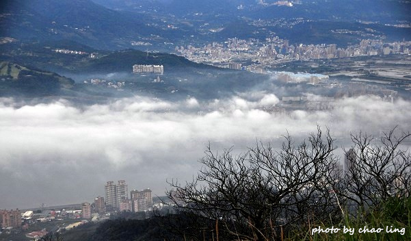 硬漢嶺追櫻-20.JPG - 2016春暖花開