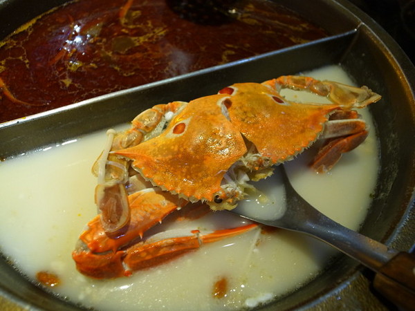 瘋麻辣頂級鴛鴦麻辣火鍋(西門店)：<台北|西門>吃麻辣鍋前先吃花雕雞？好滿足好划算!!!瘋麻辣頂級鴛鴦麻辣火鍋