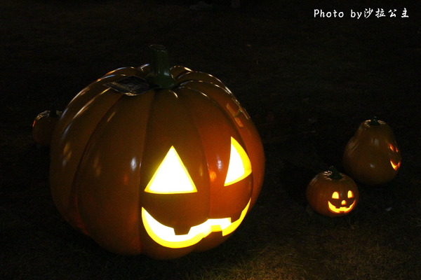 香港萬聖南瓜田(華山1914文化創意產業園區):「香港萬聖南瓜田」華山1914文化創意產業園區