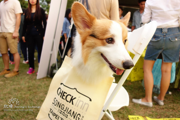 華山文創園區~香港週民俗文化:遊。華山文創香港周+現在一餐一口包子就飽了!+法式野餐電影院Vive La Vie!