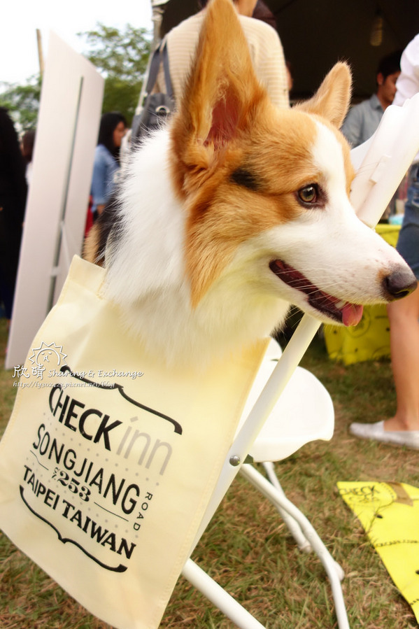 華山文創園區~香港週民俗文化:遊。華山文創香港周+現在一餐一口包子就飽了!+法式野餐電影院Vive La Vie!