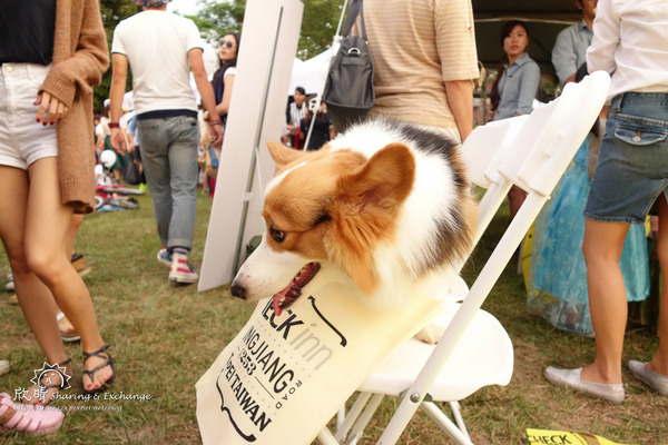 華山文創園區~香港週民俗文化:遊。華山文創香港周+現在一餐一口包子就飽了!+法式野餐電影院Vive La Vie!