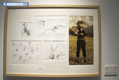 被遺忘的公主-法國繪本天后海貝卡.朵特梅原畫展_阿君君-7192