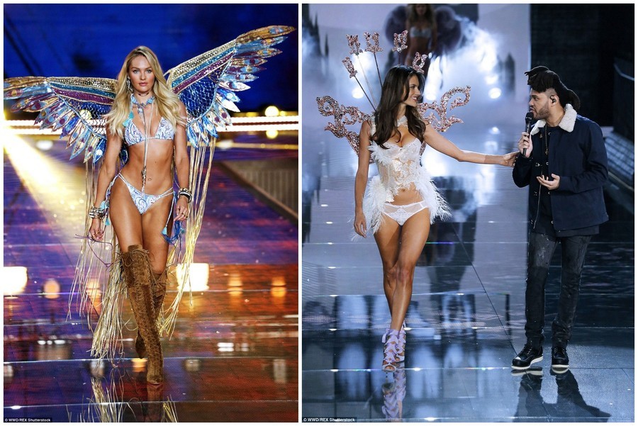 30939_1295485_564026