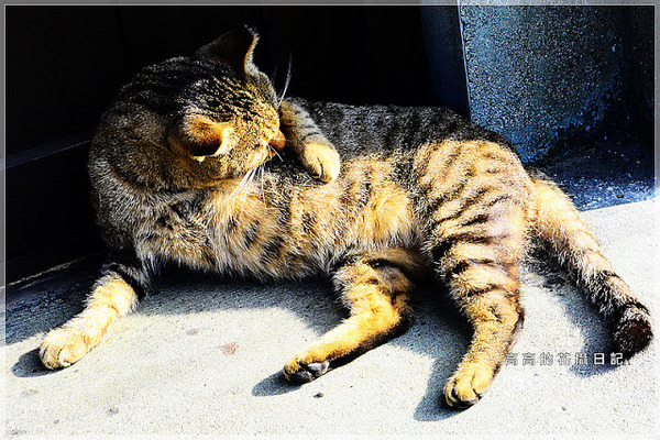 猴硐煤礦博物園區:【新北】瑞芳區。《猴硐煤礦博物園區》第一站:旅遊資訊中心