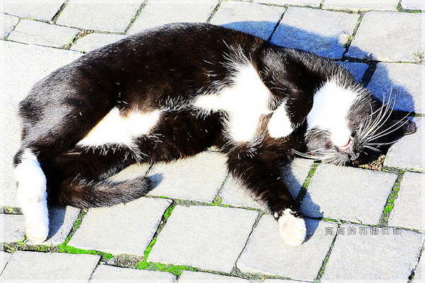 猴硐煤礦博物園區:【新北】瑞芳區。《猴硐煤礦博物園區》第一站:旅遊資訊中心