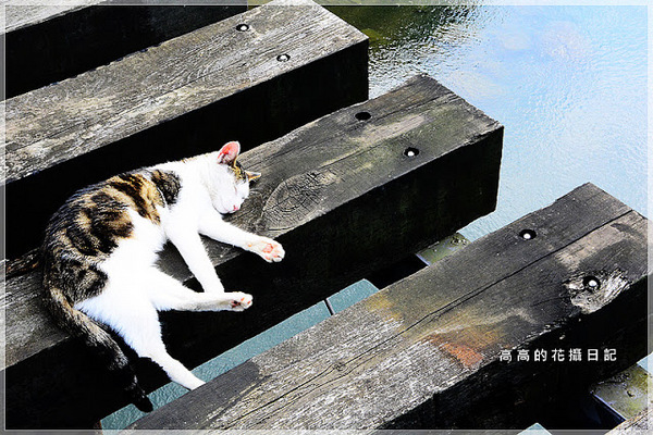 猴硐煤礦博物園區:【新北】瑞芳區。《猴硐煤礦博物園區》第二站:運煤橋、整煤廠、猴硐坑(瑞三礦業事務所)、美援厝、復興坑