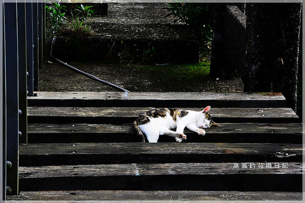 猴硐煤礦博物園區:【新北】瑞芳區。《猴硐煤礦博物園區》第二站:運煤橋、整煤廠、猴硐坑(瑞三礦業事務所)、美援厝、復興坑