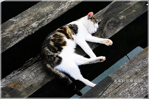 猴硐煤礦博物園區:【新北】瑞芳區。《猴硐煤礦博物園區》第二站:運煤橋、整煤廠、猴硐坑(瑞三礦業事務所)、美援厝、復興坑