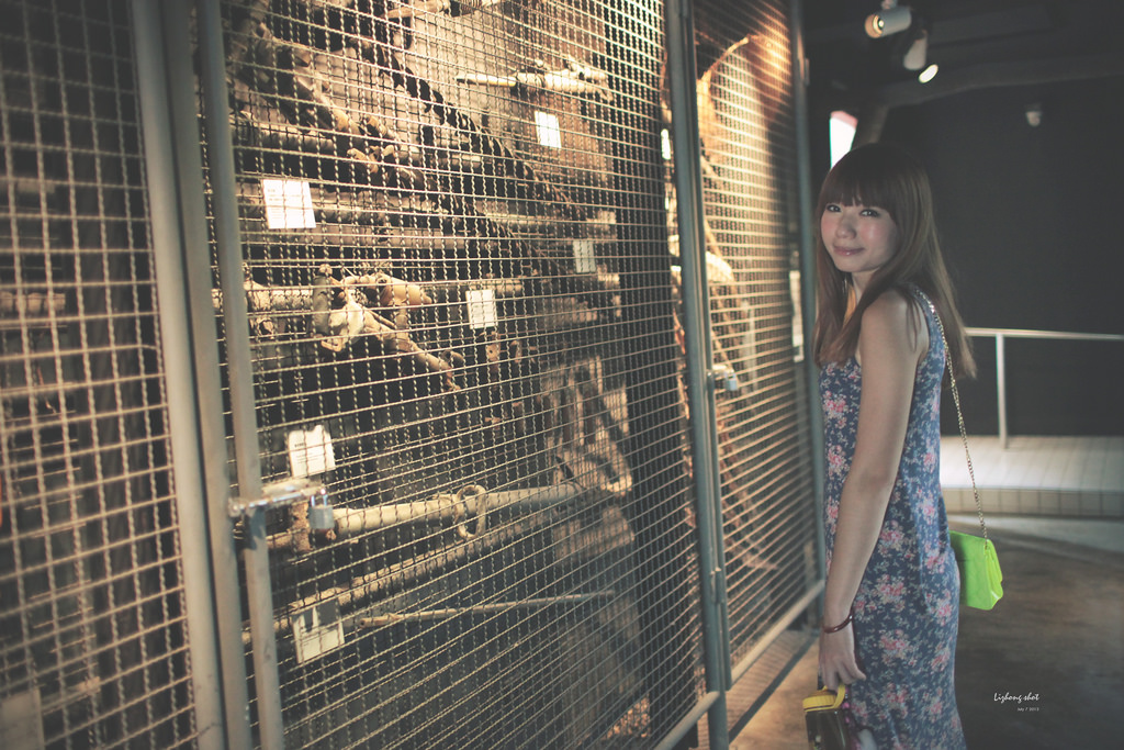 瑞三本礦的悠游日記