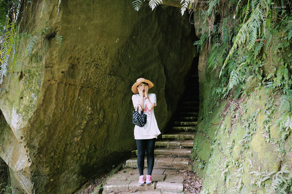 永春崗公園的象山散策