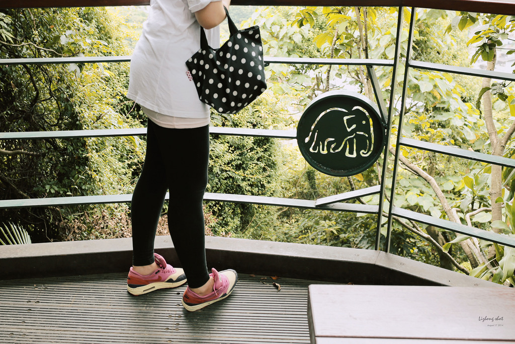 永春崗公園的象山散策