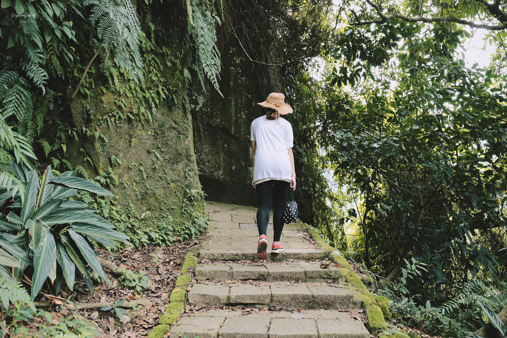 永春崗公園的象山散策