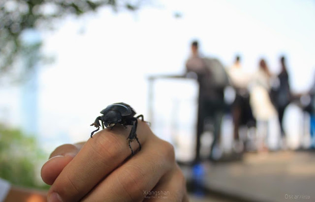 象山自然步道-20