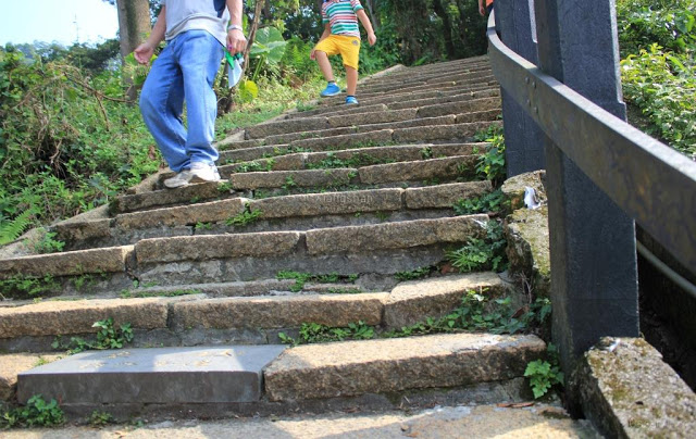 象山自然步道-2