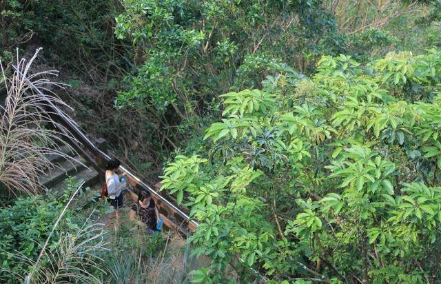 象山自然步道-18