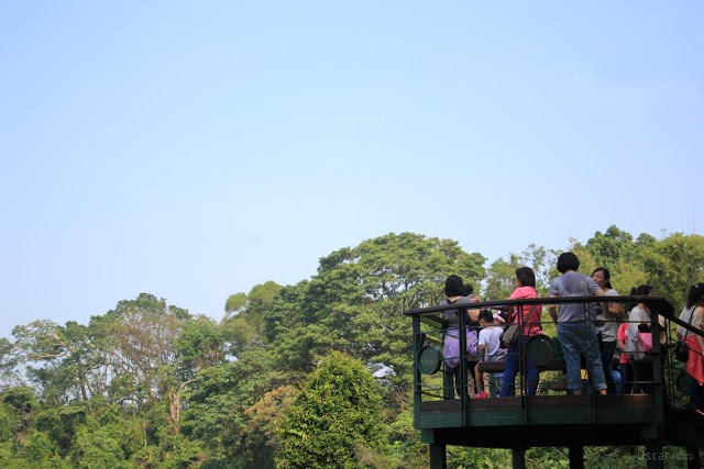 象山自然步道-4