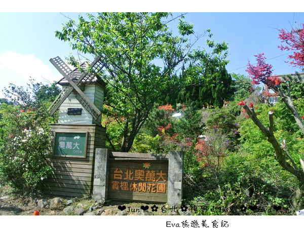 陽明山平等里:【遊記】oO。台北 陽明山 楓紅槭樹 漂亮的三月楓紅,真的第一次看到,不輸真正的楓紅~。o○。