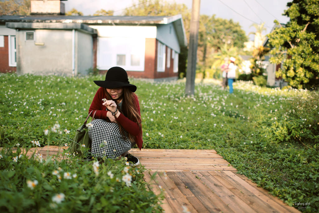 陽金公路一日悠遊