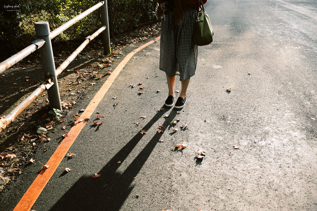 陽金公路一日悠遊