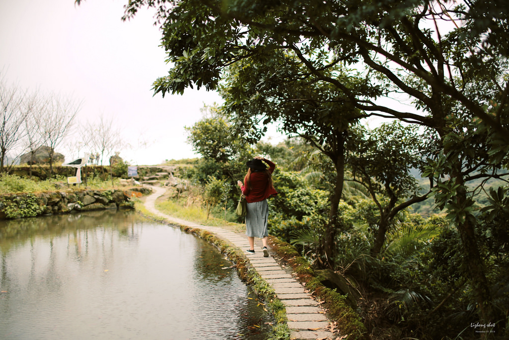 陽金公路一日悠遊