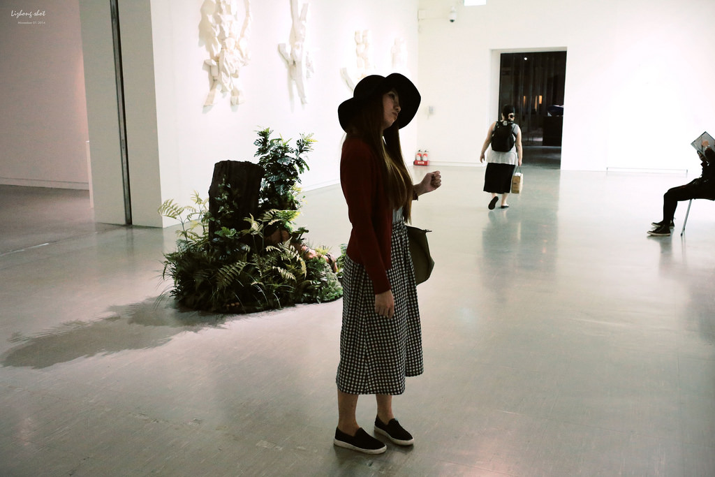 陽金公路一日悠遊