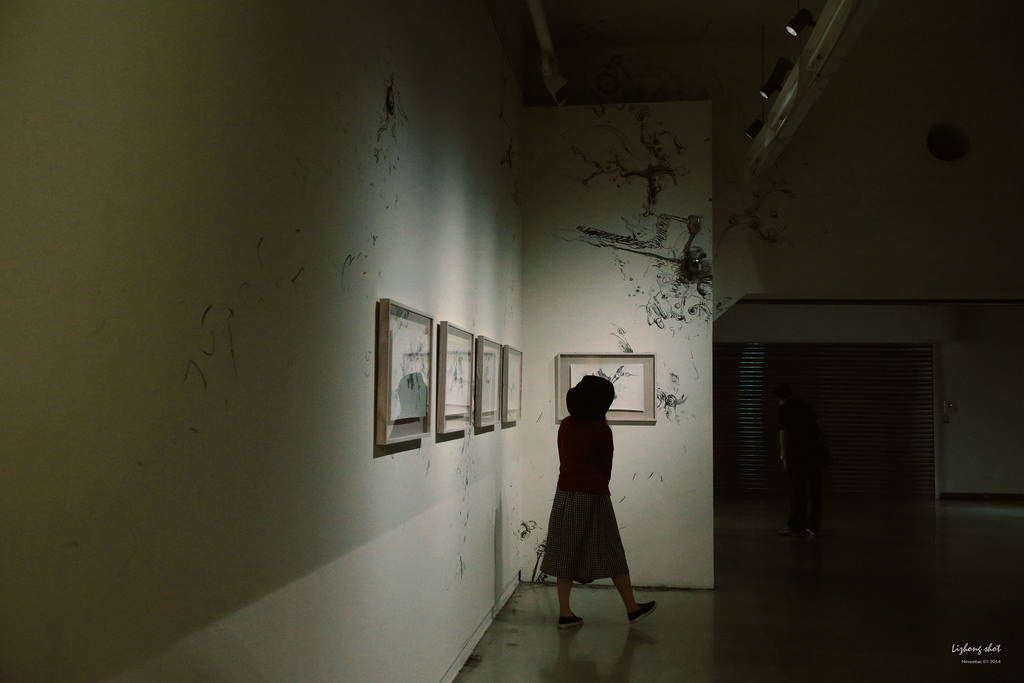 陽金公路一日悠遊