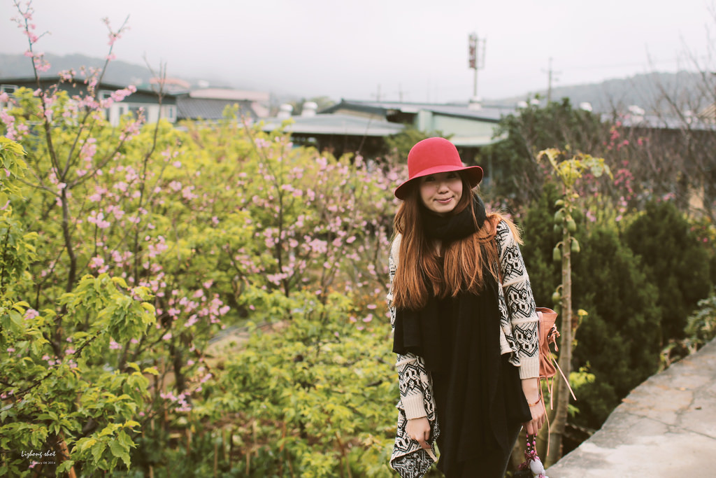 陽明山平菁街42巷的寒櫻