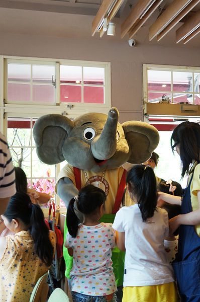 內湖美食推薦-真的有大象，好好吃的親子餐廳＂象園咖啡＂（ 近捷運文德站）
