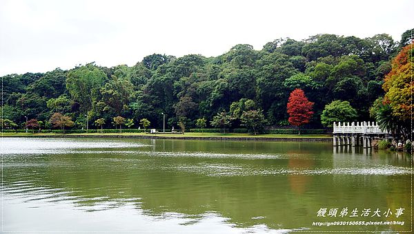 象園咖啡 elephant garden:【食記/台北市】景觀餐廳~來與小象約會吧♪♪象園咖啡♪♪