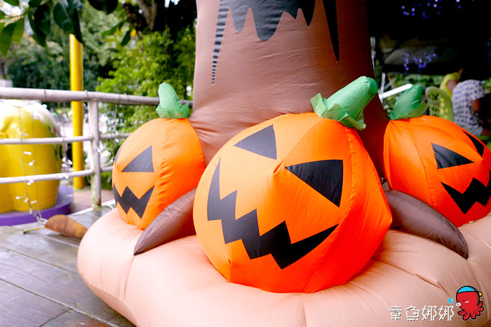 nEO_IMG_nEO_IMG_P1000874