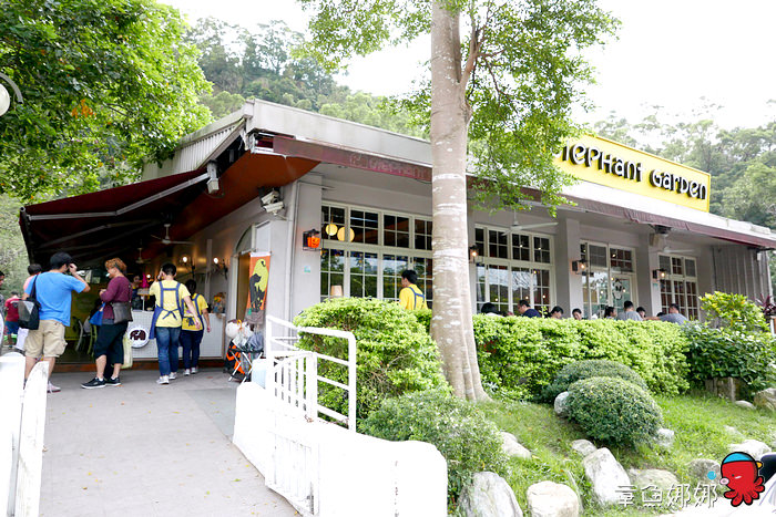 nEO_IMG_nEO_IMG_P1000861