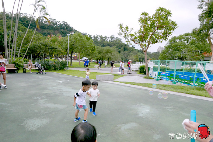 nEO_IMG_nEO_IMG_P1000919