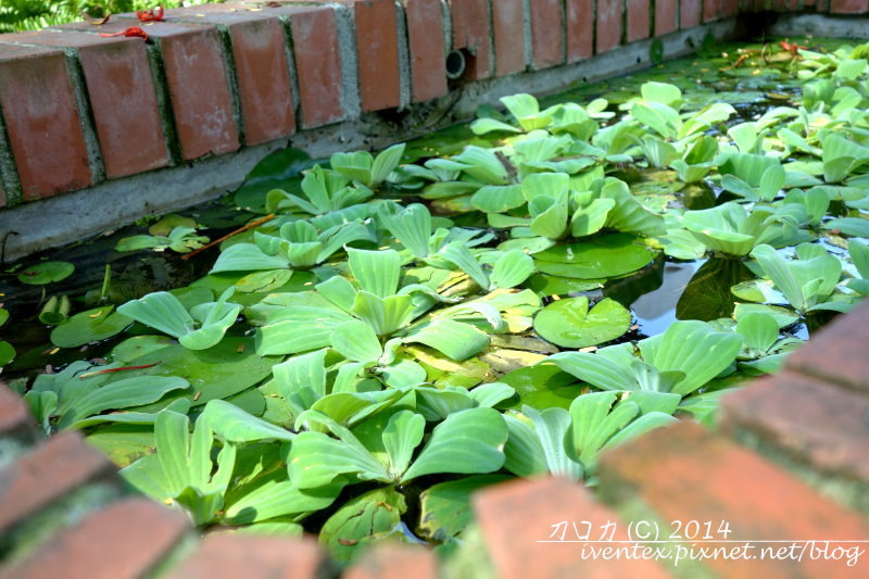 09雲林虎尾雲林故事館虎尾郡守官邸
