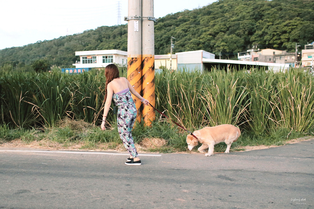九月的夏末尾聲