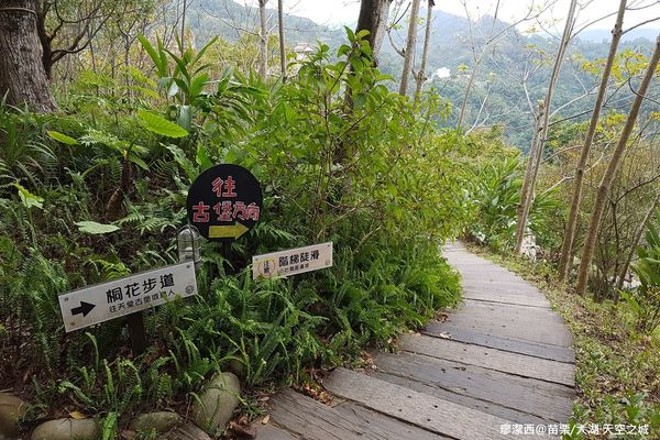 【苗栗/大湖】天空之城