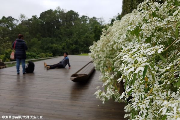 【苗栗/大湖】天空之城