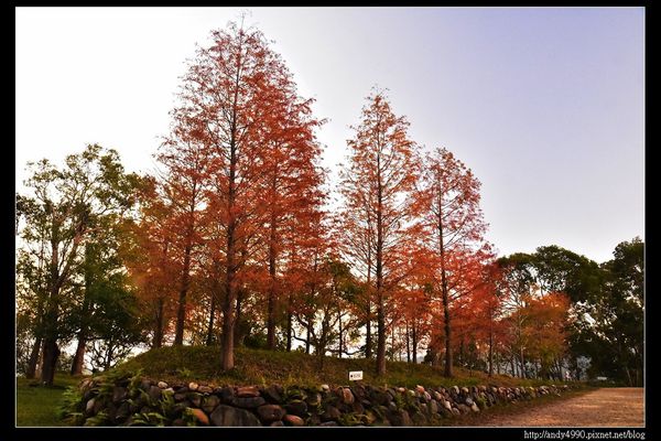 20151214苗栗大湖天空之城23