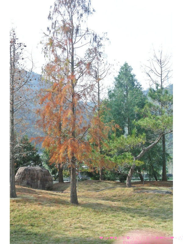 巧克力雲莊：【食、遊記】oO。。苗栗　巧克力雲莊　想了一世紀才又吃到的移山倒海草冰，簡直是把整座的草莓園搬來眼前，快來看看有多澎湃～o○。