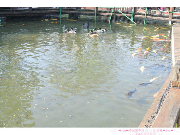 巧克力雲莊：【食、遊記】oO。。苗栗　巧克力雲莊　想了一世紀才又吃到的移山倒海草冰，簡直是把整座的草莓園搬來眼前，快來看看有多澎湃～o○。