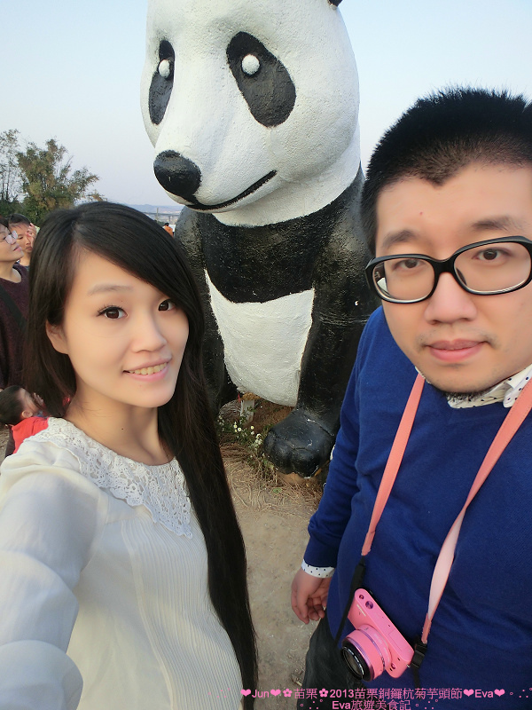 2013苗栗銅鑼杭菊季：【遊記】oO。苗栗　2013苗栗銅鑼杭菊芋頭節　平地的１１月雪，趕快趁採收前來欣賞這美麗的景象吧～。o○。