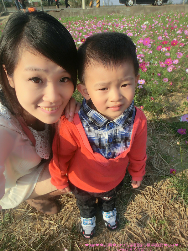 2013苗栗銅鑼杭菊季：【遊記】oO。苗栗　2013苗栗銅鑼杭菊芋頭節　平地的１１月雪，趕快趁採收前來欣賞這美麗的景象吧～。o○。