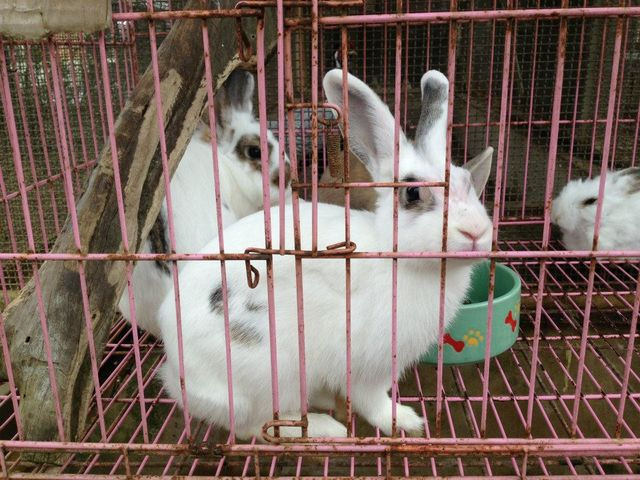 560011_575507559128035_2025371646_n [640x480]