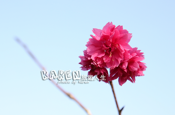 螢幕快照 2014-02-01 下午9.40.56.png