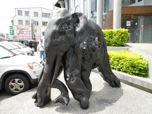 四月雪小徑：花都開好了～