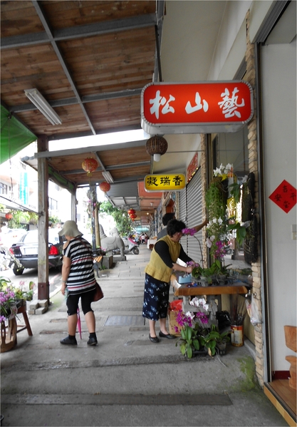 四月雪小徑：花都開好了～